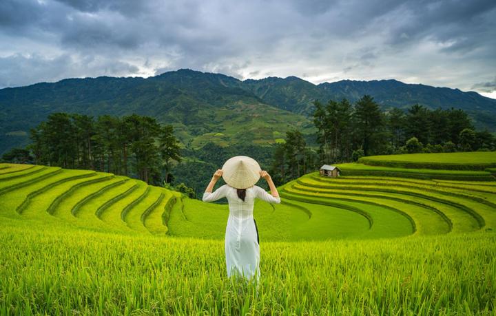 Hotspot Matrix: Biến Phương Oanh diện set đồ 50 thành cơ hội marketing đột phá