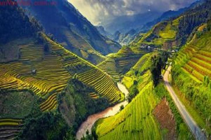 Jollibee Việt Nam mang “Vui - Cảm hứng video marketing từ Hotspot Matrix