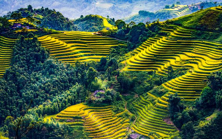 Hotspot Matrix: Biến Hoa hậu Ý Nhi lần đầu có phản thành cơ hội marketing đột phá