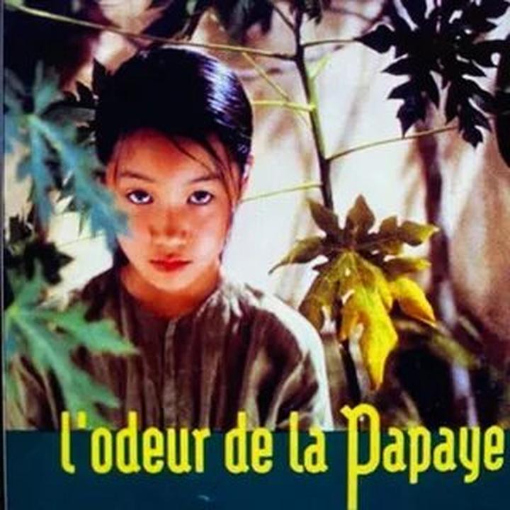 ---Bài viết 2---