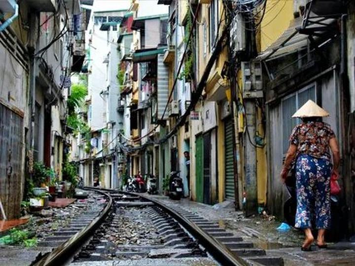 Bonobo: Nguồn Gốc Tiến Hóa Của Ngôn Ngữ Con Người?